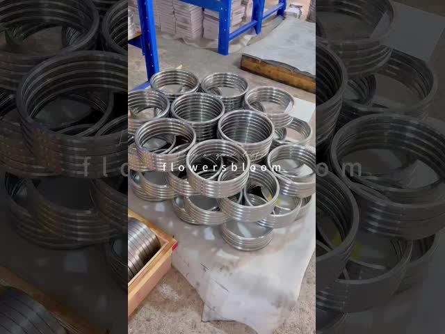 ASME B16.20 リング 合同 ガスケット オーバル 密封 リング 工業用