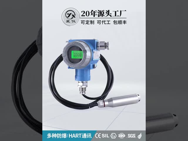 CYW13CY ユニバーサル潜水式レベルトランスミッター 4-20mA HART RS485 OEM圧力トランスミッター