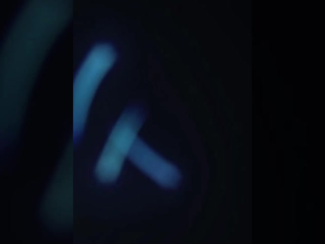Máquina de classificação de camarões, máquina de limpeza e classificação de camarões, máquina de filtragem de camarões após a descascagem
