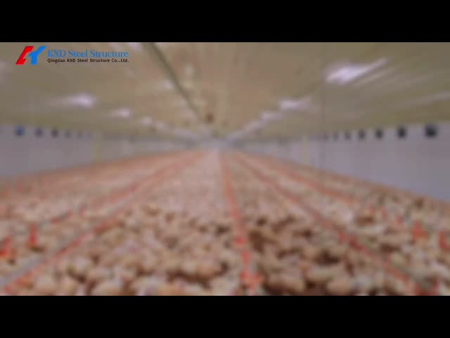 鳥類 鉄筋 プリファブ ハウス 自動 ブロイラー 鶏飼育 設備