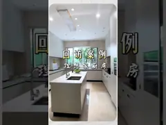 স্টেইনলেস স্টীল ডাবল লিনিয়ার রান্নাঘর ক্যাবিনেট হালকা কাঠের শস্য উন্নত স্টোরেজ সমাধান সহ