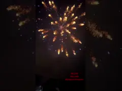 Chinese fabriek groothandel 2 inch 36 shots cake vuurwerk pyrotechniek met groot effect 2025 vuurwerk cake