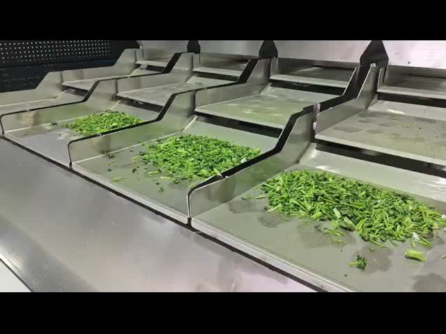 KM-1250 Coriander Sorting Machine, High Precision Equipped With 3 Ultra High Definition Resolution Cameras