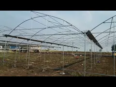 Agricultural Commercial Multi Span Greenhouse For Arrow Drip Type Hydroponic Systems