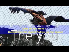 China 316 Flexible Woven Stainless Steel Wire Rope Mesh For Bird Aviary supplier