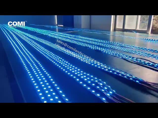 2835の適用範囲が広いLEDの滑走路端燈300LEDs 5meters CRI80、IP20は装飾的な滑走路端燈を導いた