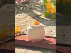 التصميم الوظيفي 4.7