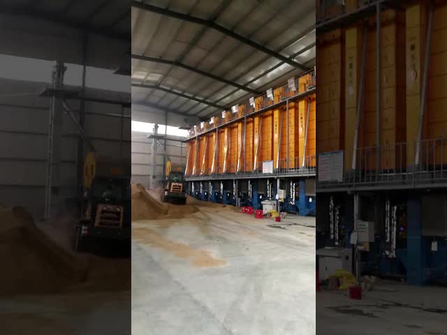 Тип серии машина угля 9.95kw 15T биомассы падиа более сухая