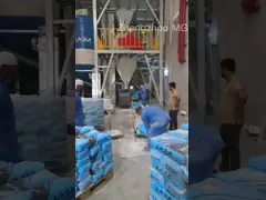 Automatic Feeding Dry Powder Mortar Mixer Machine Wall Putty Plaster Skim Coat Mixing Equipment Floor Tile Adhesive Manufacturing Plant