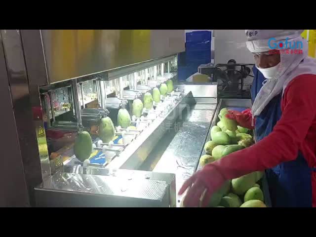三?? PLC 果物・野菜加工ライン用の自動果汁剥き機 SUS304
