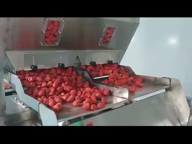 Dried Strawberry Sorter With Image Recognition Quick Response, Precise Sorting, And Improved Production Efficiency