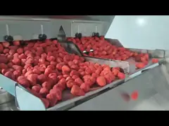 Dried Strawberry Sorter With Image Recognition Quick Response, Precise Sorting, And Improved Production Efficiency