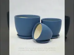 Agrega un toque de estilo a tus plantas con nuestra colección de macetas de cerámica