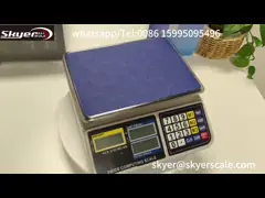 30kg 1g Digital Weight Scale With LCD Backlight Display