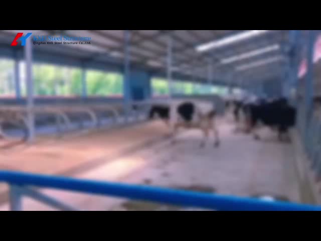 簡単に組み立て 牛棚 鉄筋 牛飼いの棚 天候耐性