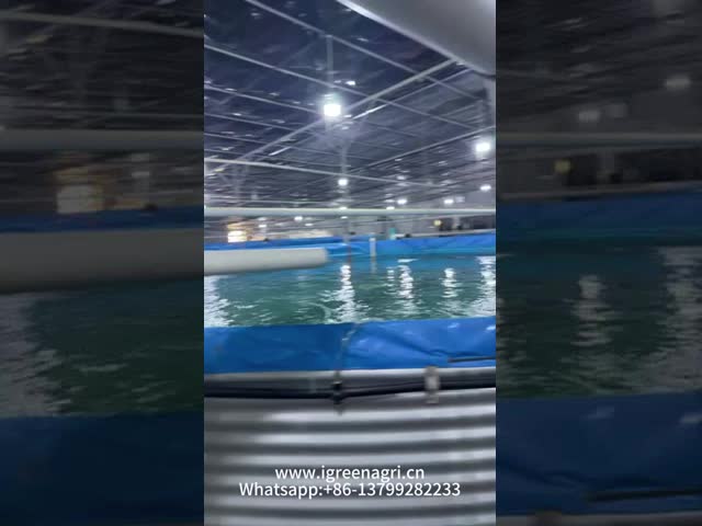 スマート魚飼育RASシステム AIモニタリング 魚類トロール繁殖産業RASシステム