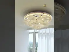 Nordic Simple Light Franse woonkamer slaapkamer plafond licht modern crème creatieve persoonlijkheid lotus blad ontwerper kamer licht