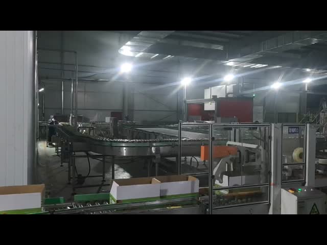 4 eixos Robot Palletizer, estilo de piso, operação simples, 4KW