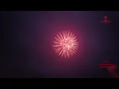 Des feux d'artifice Mandarin 2025 usine chinoise Liuyang Pyrotechnics Display Shell Fireworks 8 pouces 1.3G Professional Shell Fireworks