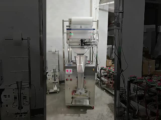 Semi Automatic Two Head Large Weight Filling Packaging Machine For Soybean Grains Seeds Fertilizer Powder Sachet