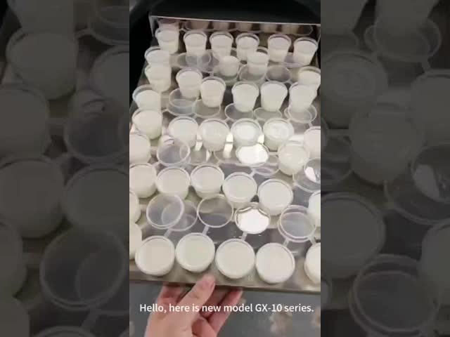 Programmable PLC Controlled Affordable Mini Freeze Dryer Machine