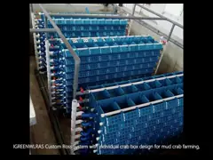 Energy Efficient Aquaponics Ras System Large Scale With Zinc Coated Tanks video