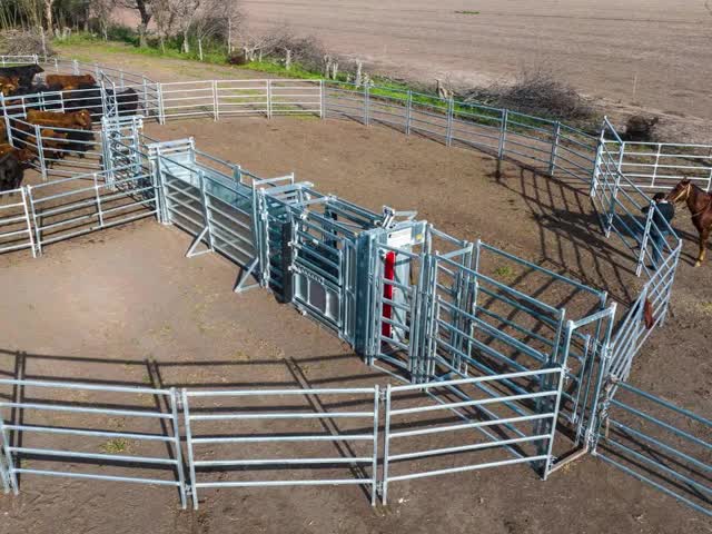 Powder Coated + Galvanized Horse Corral Panels Customized 1.8m Height