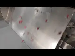 Wolfberry Sorting Machine with Advanced Imaging and Spectroscopy Technology