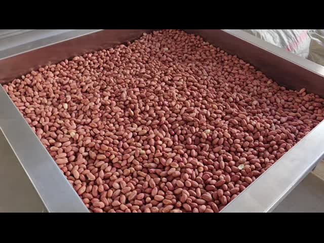 Непрерывный электрический Roaster арахиса