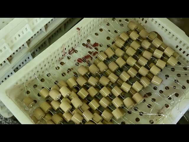 Capacitor cerâmico de alta tensão de 40.5kVAC-100pF 4000V para o isolador capacitivo