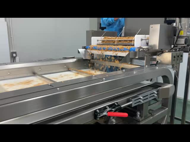 Beef Floss Color Sorter with >90% Efficiency