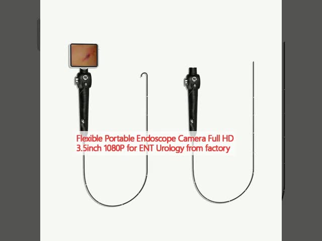 3.5inch Full HD 1080P Portable Flexible Medical Endoscope Camera for ENT Urology and Gynecological Procedures