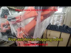Axe robot 5 KR 700 PA bras robot Kuka pour l'industrie de la palettisation