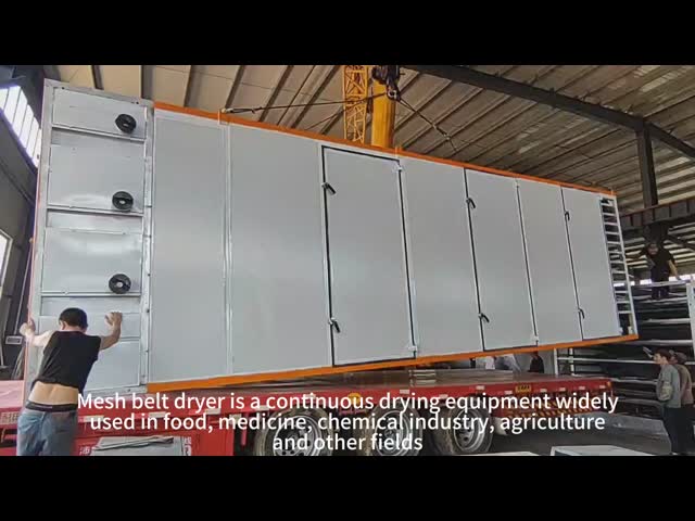 Многослойный сетчатый ремень сушилки фруктов и овощей Junxu тяжелая промышленность последнее прибытие видео