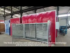 Casella di asciugatura a riscaldamento elettrico per prodotti ittici a tensione personalizzata per la produzione professionale