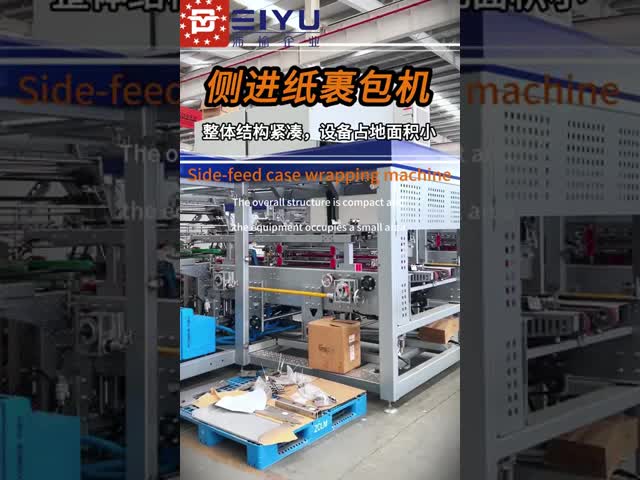 30 Cases Per Minute Fully Wrapped Winding Wrap Around Case Packer for Aseptic Packaging Line