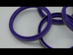 Dust Seal DKBI Hydraulische cilinder Industrieel dubbele lip olie zegel Voor bouwmachines Verbeter de brandstofefficiëntie met zegels