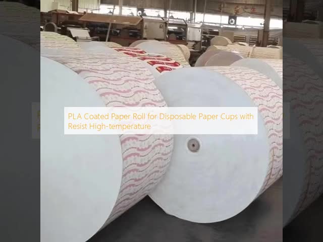 生物分解性 PLA コーティング 紙 150 - 350 Gsm 一回用 食器用