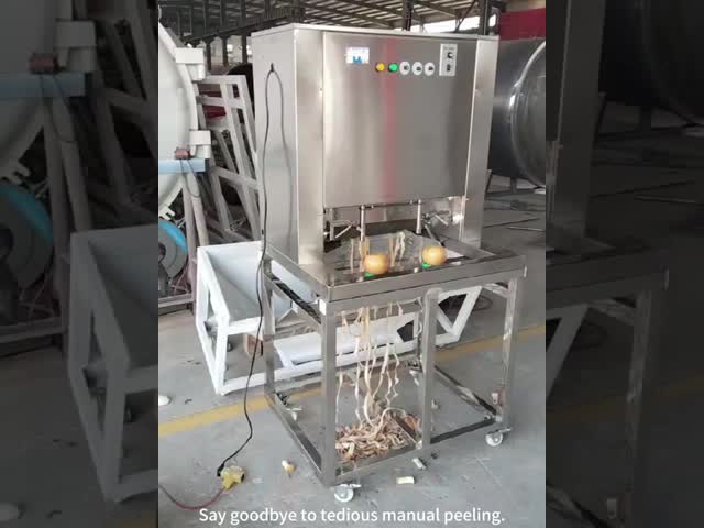 経済的な多機能の果物皮革と果物加工工場のコーリングマシン