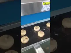 Papa P160 Automatic Encrusting Machine Stainless Steel For Food Processing