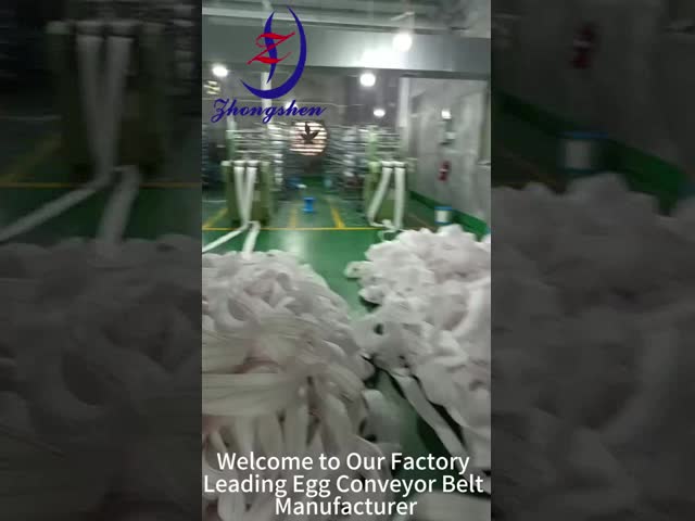 統合された検出と輸送の家禽養殖卵帯