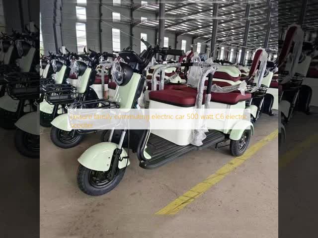 Family Commuting Leisure Electric Tricycle 500 Watt C6 50KM/H