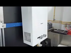 10L Capacity Gas Water Heater Balanced Flue System Fast Heating