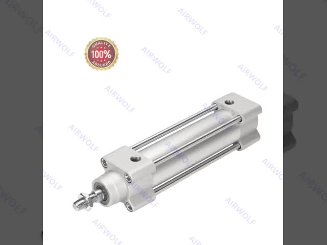 Lightweight Aluminum ISO15552 TPE-U PU ISO 6431 FESTO Adjustable Pneumatic Cylinder 646775 DSBG-80-100-PPV-N3 For Industrial