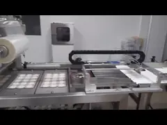 Máquina de sellado de pasteles de arroz MAP para embalaje de alta velocidad video