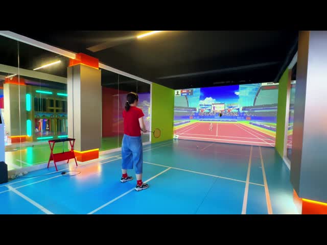 ノースターン・ライトス プロ室内ARスポーツ バドミントン室内ボールゲーム