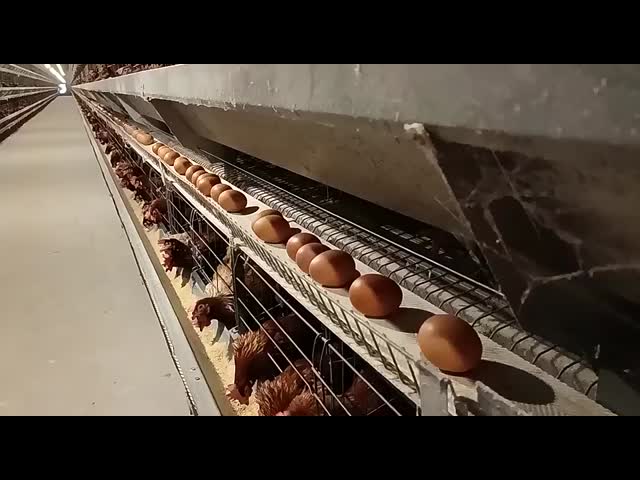 オーダーメイドサイズ 鋼鉄構造 鶏家 鋼鉄 振動 多機能