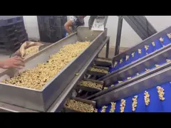 China AI Powered Palm Dates Sorting Machine 2 Tons Capacity with CE MD Certificate supplier