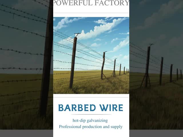 Galvanized High Tensile Barbed Wire Farm Fence 500M 20Kg Per Roll Barb Wire Fence