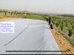 PVC Tarpaulin Foldable Agricultural Rainwater Collection Bladder